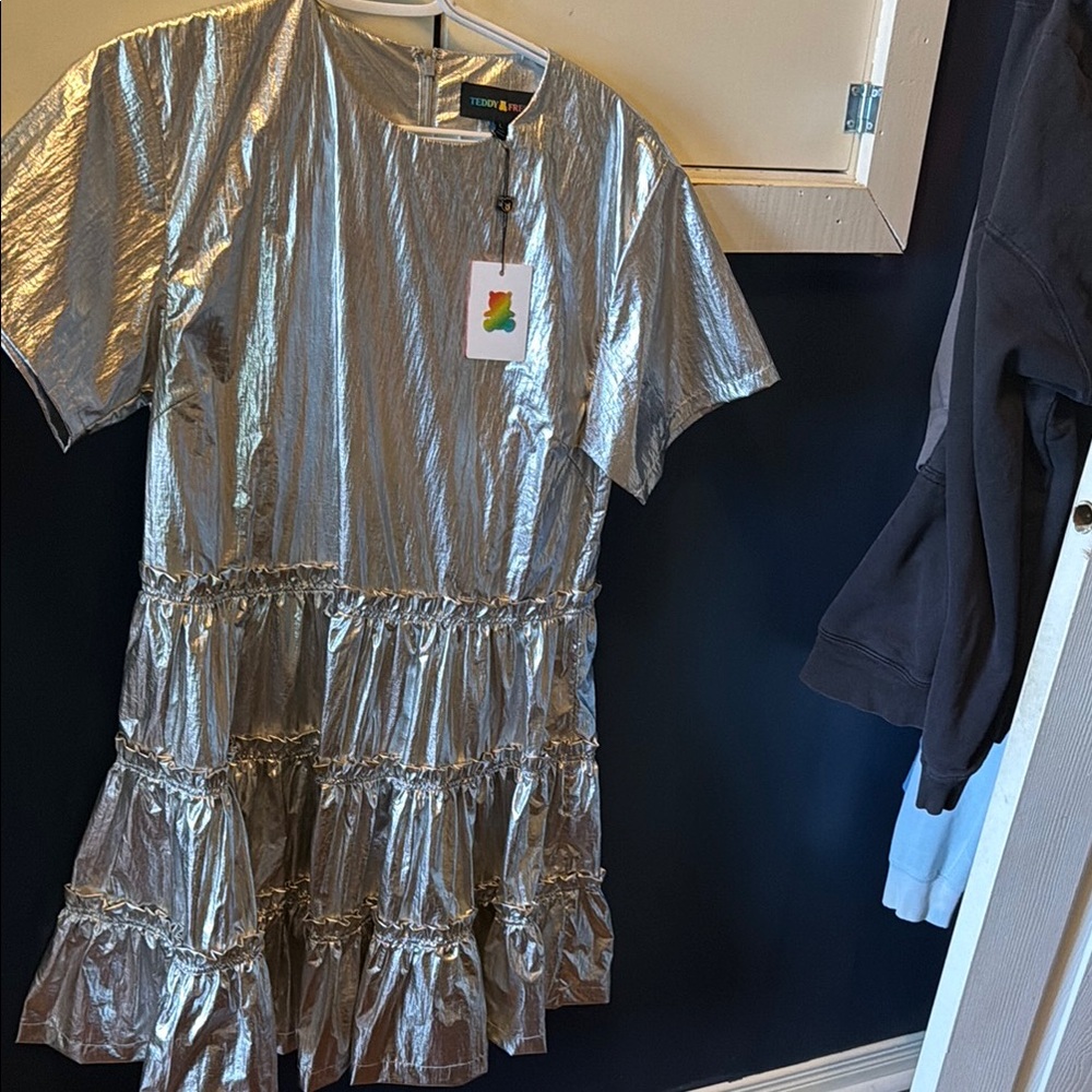 Teddy Fresh Metallic Silver dress